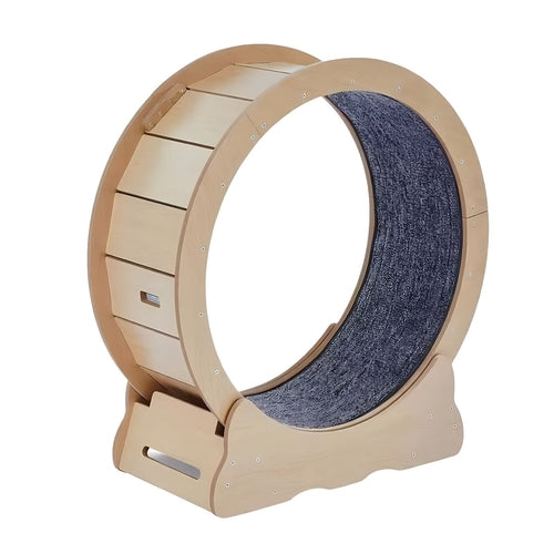Title: Large Cat Exercise Wheel Treadmill – Quiet Indoor Running Wheel