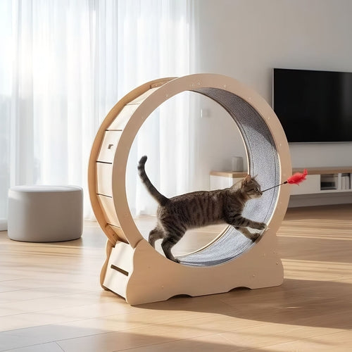 Title: Large Cat Exercise Wheel Treadmill – Quiet Indoor Running Wheel