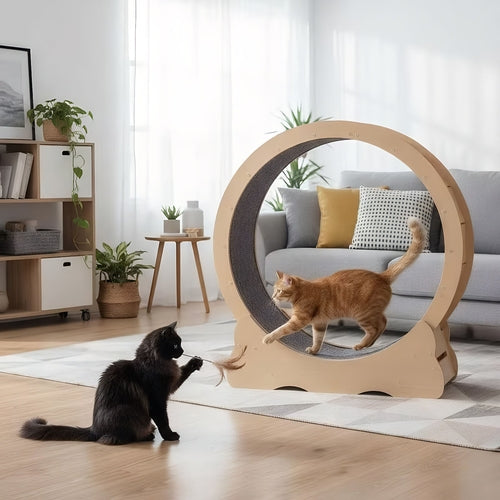 Title: Large Cat Exercise Wheel Treadmill – Quiet Indoor Running Wheel