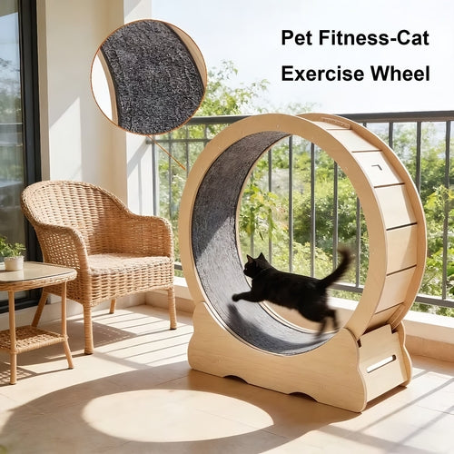 Title: Large Cat Exercise Wheel Treadmill – Quiet Indoor Running Wheel